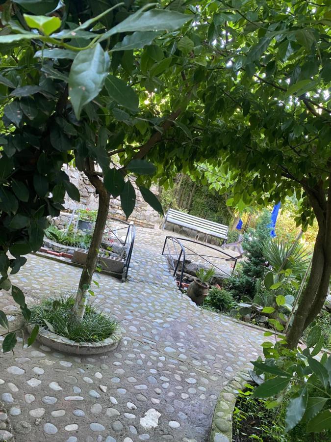 Holiday House Chkonia Hotel บาทูมิ ภายนอก รูปภาพ