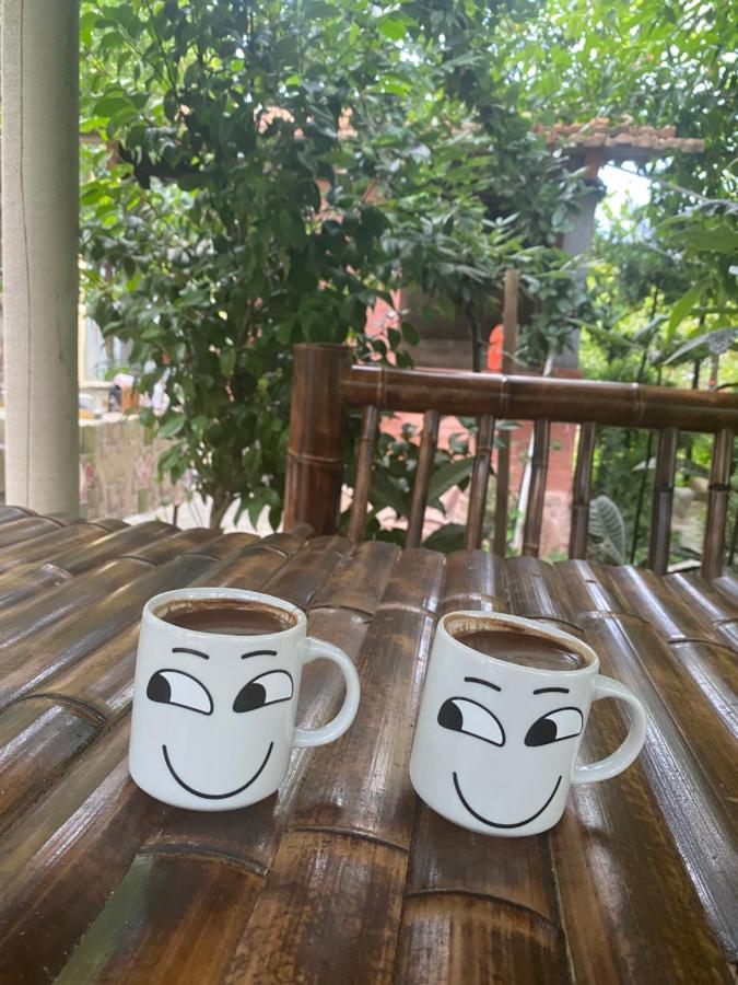 Holiday House Chkonia Hotel บาทูมิ ภายนอก รูปภาพ