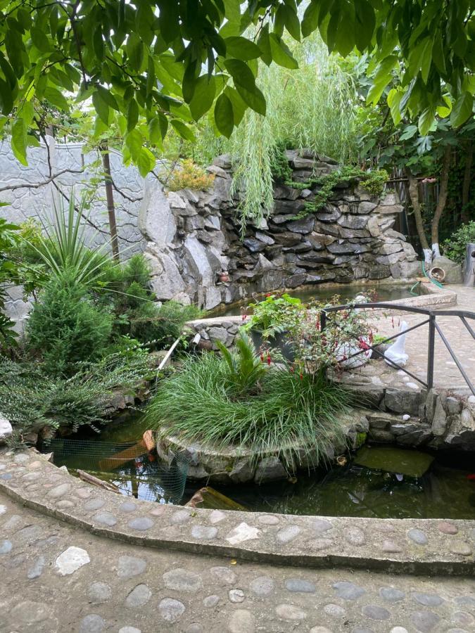 Holiday House Chkonia Hotel บาทูมิ ภายนอก รูปภาพ