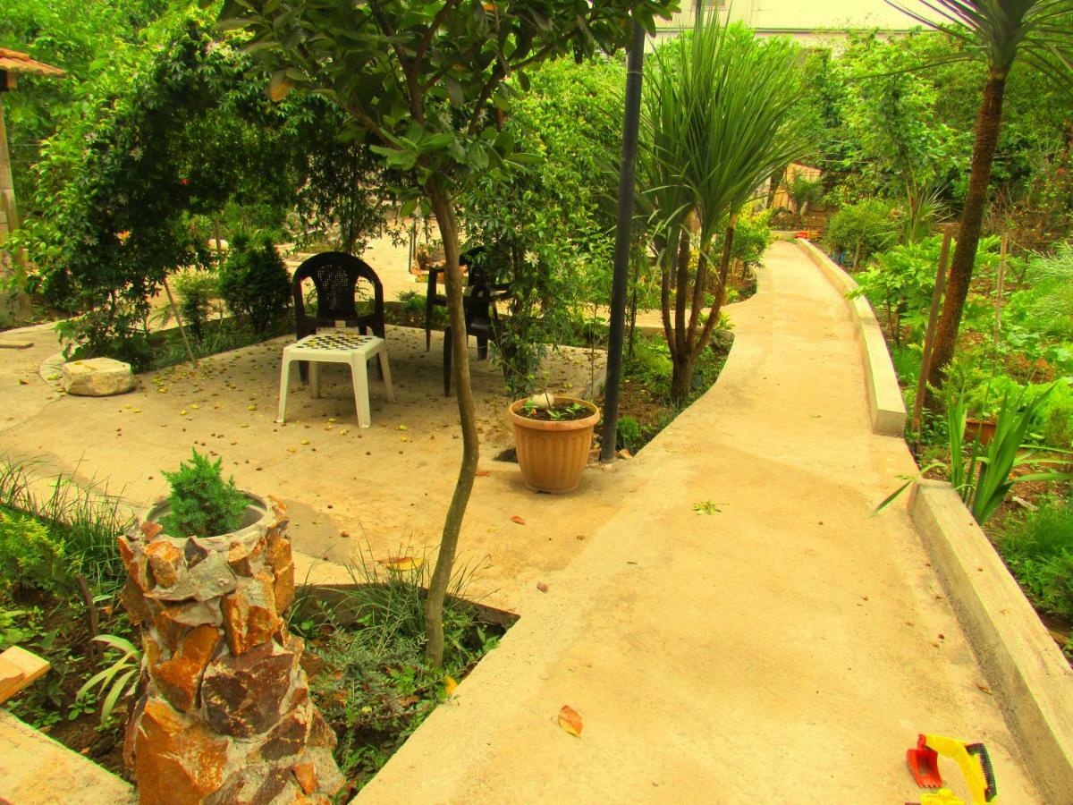 Holiday House Chkonia Hotel บาทูมิ ภายนอก รูปภาพ