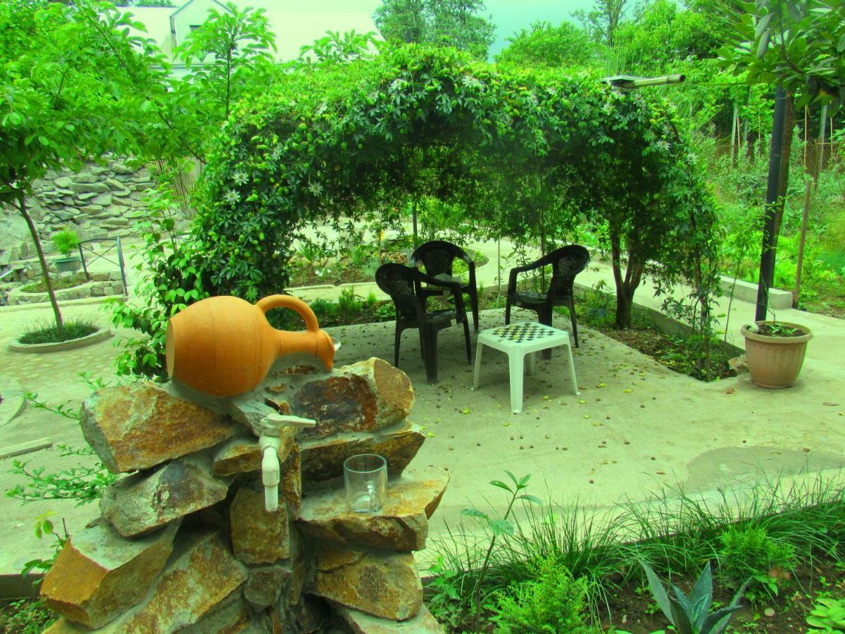 Holiday House Chkonia Hotel บาทูมิ ภายนอก รูปภาพ