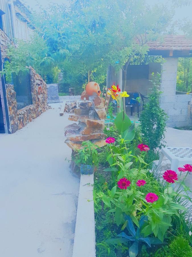 Holiday House Chkonia Hotel บาทูมิ ภายนอก รูปภาพ