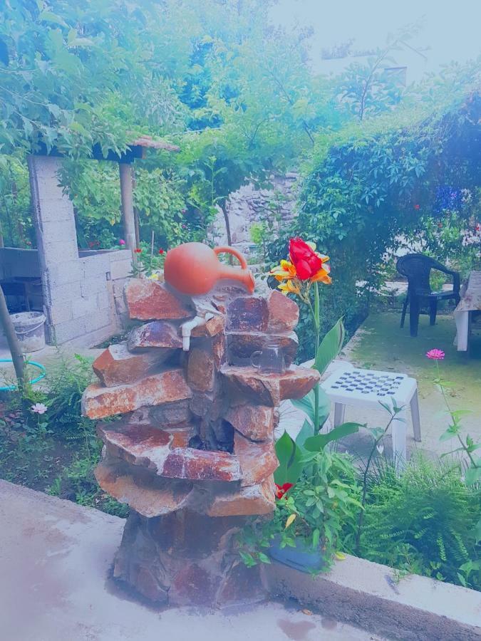 Holiday House Chkonia Hotel บาทูมิ ภายนอก รูปภาพ