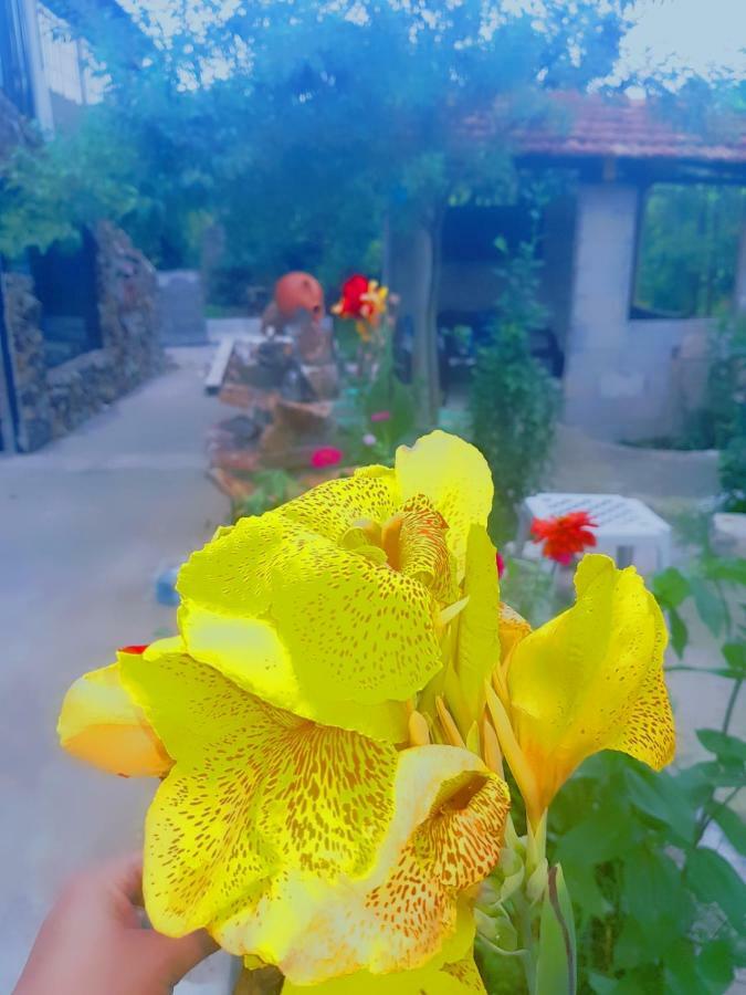 Holiday House Chkonia Hotel บาทูมิ ภายนอก รูปภาพ
