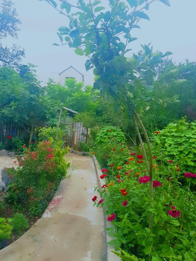 Holiday House Chkonia Hotel บาทูมิ ภายนอก รูปภาพ